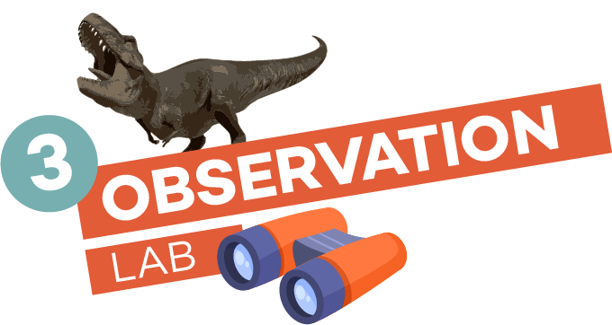03-Observation