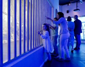 The ObservationLab gives you the opportunity to observe and interact with the giants of prehistoric times in their natural habitat.